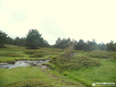 Senderos con historia: De la Pradera de Navalhorno al Chozo Arangüez: recorrido por madrid la gargan